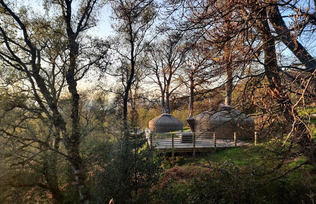 Charming Yurt in Kelburn Estate Near Largs - Photo 26