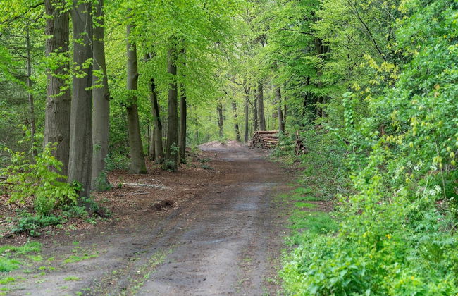Forest Cabin With Pets - Foto 39