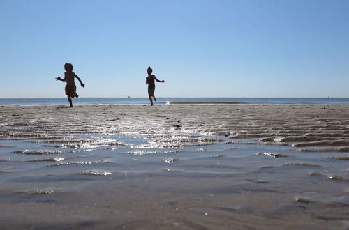 Photo 20 - Cottage on the Beach of Dishoek