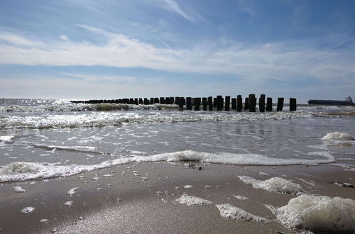 Photo 28 - Beach House Located on the Beach of Dishoek