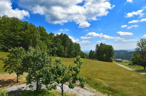 Foto 33 - Apartment in the Bavarian Forest