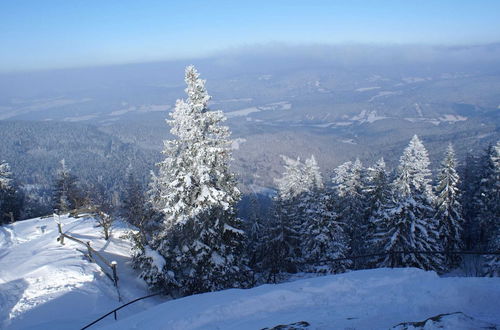 Photo 26 - Holiday House in the Bavarian Forest