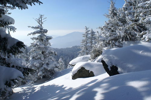 Photo 24 - Holiday House in the Bavarian Forest