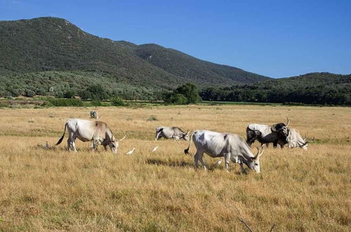 Foto 64 - Agriturismo Buonavista