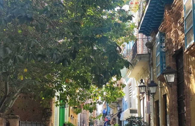 Amargura 62 - Foto 24