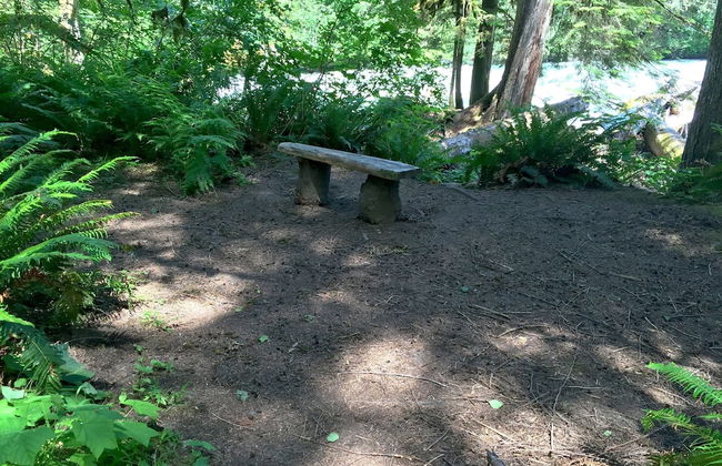 74SL - Pets OK - WIFI - BBQ - Sleeps 8 - Foto 17