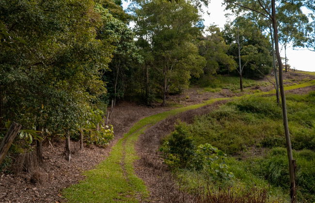 Whispering Valley Cottage Retreat - Foto 51