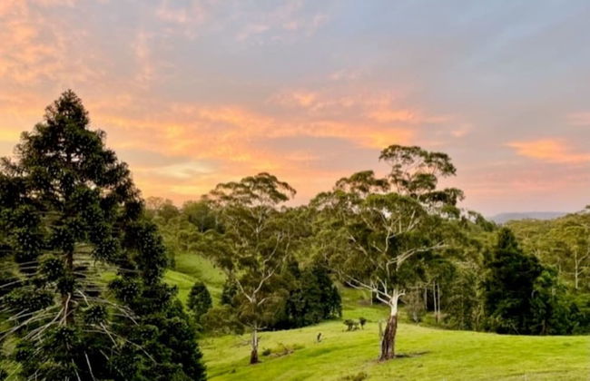 Whispering Valley Cottage Retreat - Foto 47