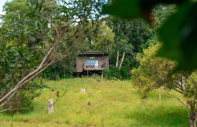 Whispering Valley Cottage Retreat - Foto 6