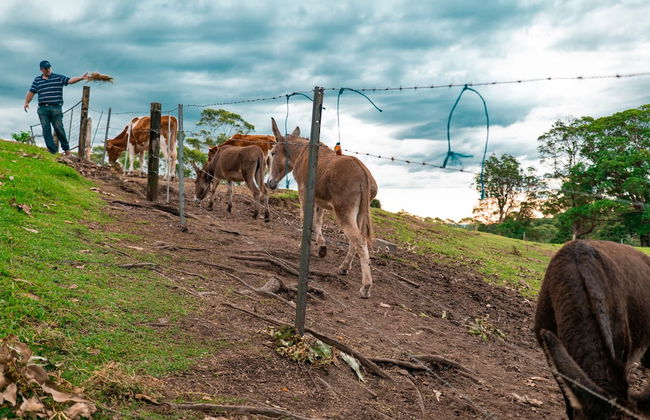 Whispering Valley Cottage Retreat - Foto 58