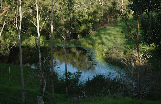 Whispering Valley Cottage Retreat - Foto 31