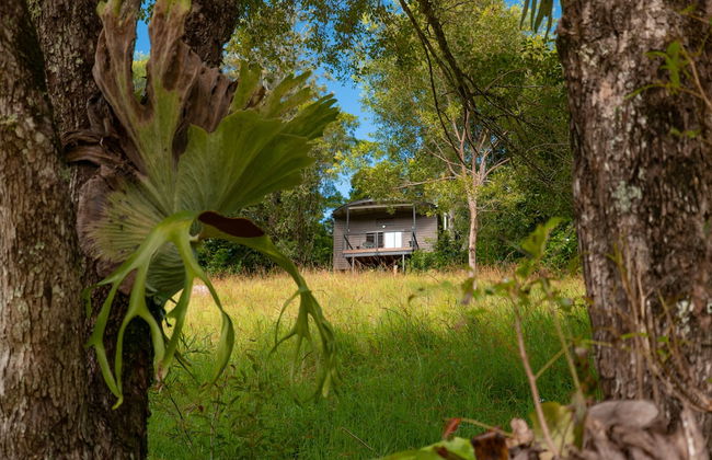 Whispering Valley Cottage Retreat - Foto 18