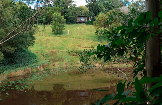 Whispering Valley Cottage Retreat - Foto 36