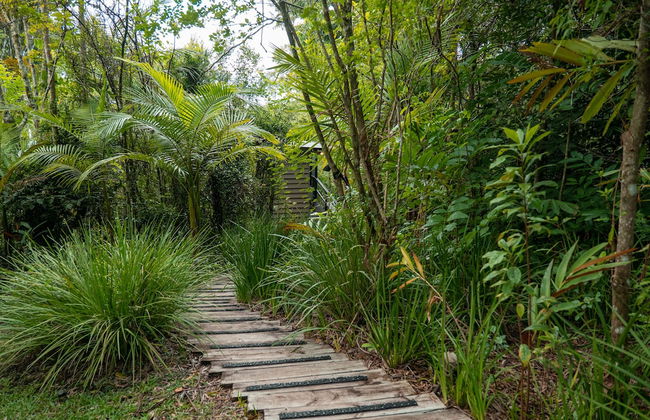 Whispering Valley Cottage Retreat - Foto 53