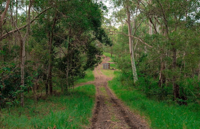 Whispering Valley Cottage Retreat - Foto 45