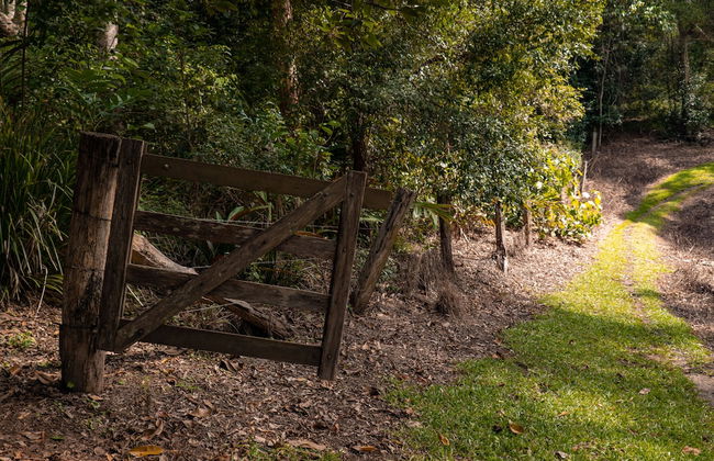 Whispering Valley Cottage Retreat - Foto 54