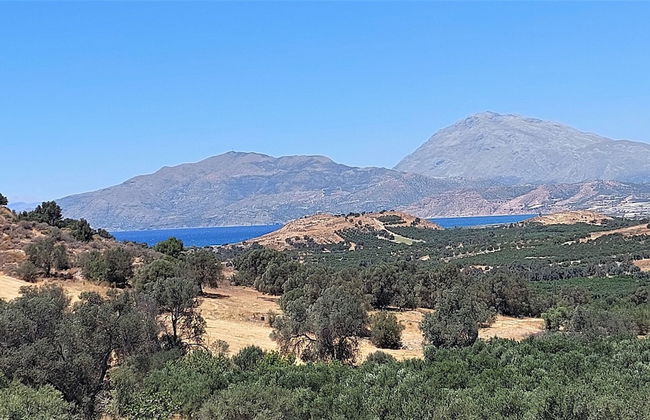 MARNOS VILLAS - Photo 15