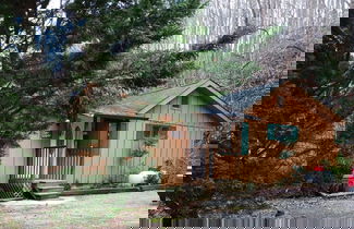 Foto 1 - Bear Footin'