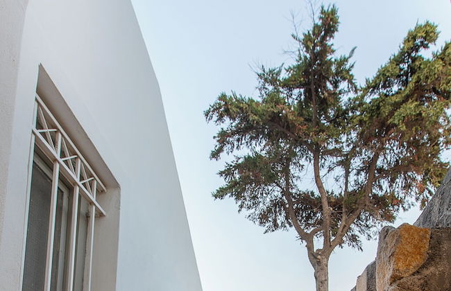 Santorini Villatzio Suites - Foto 34