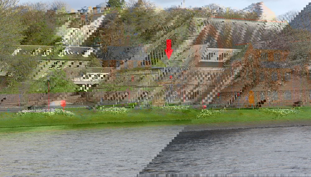 Image principale