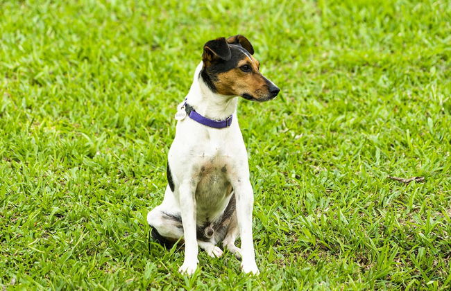 Aldea Sabatinga - Foto 47