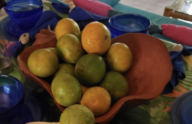 Seacret Studios - Cozy Jamaican Retreat Apts by RedAwning - Foto 12