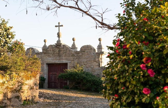 Vinte-Quinta da Boavista - Foto 32