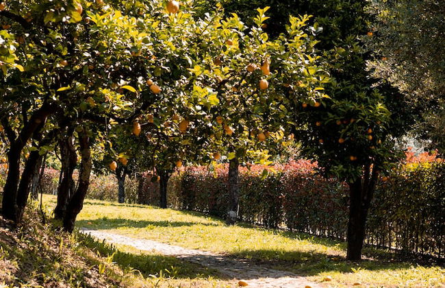 Vinte-Quinta da Boavista - Foto 26