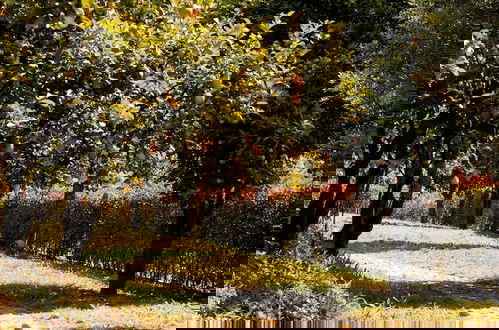 Foto 26 - Vinte-Quinta da Boavista