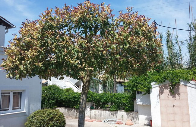Corfu Anastasia - Foto 14