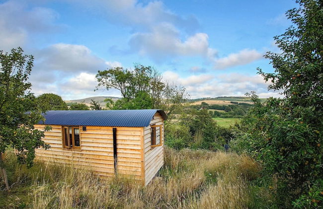 Woodpecker Hill - Apple Orchard in Alfriston - Foto 20