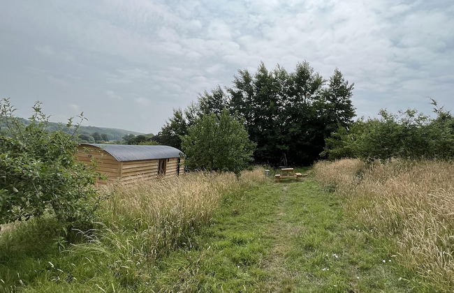 Woodpecker Hill - Apple Orchard in Alfriston - Foto 14