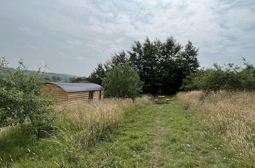 Photo 14 - Woodpecker Hill - Apple Orchard in Alfriston