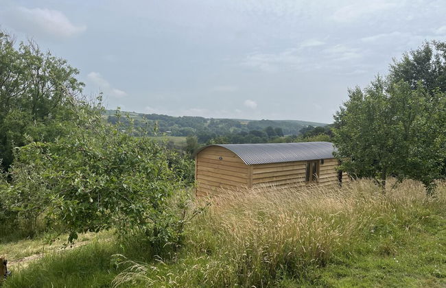 Woodpecker Hill - Apple Orchard in Alfriston - Foto 16