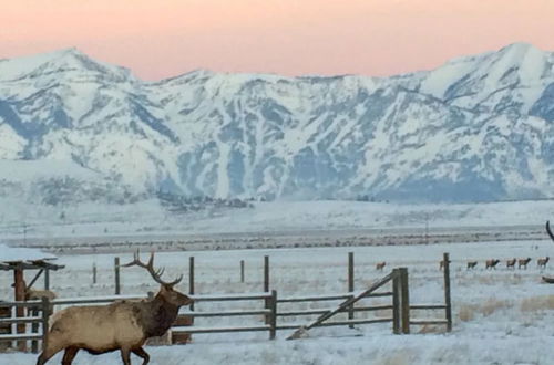 Foto 27 - NEW! Elk Refuge Safari Chalet with Teton Views