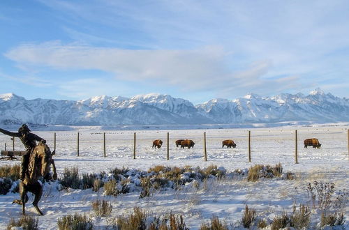 Foto 28 - NEW! Elk Refuge Safari Chalet with Teton Views