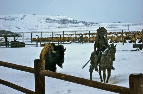 Photo 29 - NEW! Elk Refuge Safari Chalet with Teton Views