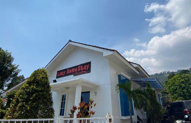 Villa Bromo Potato 2 - Foto 10
