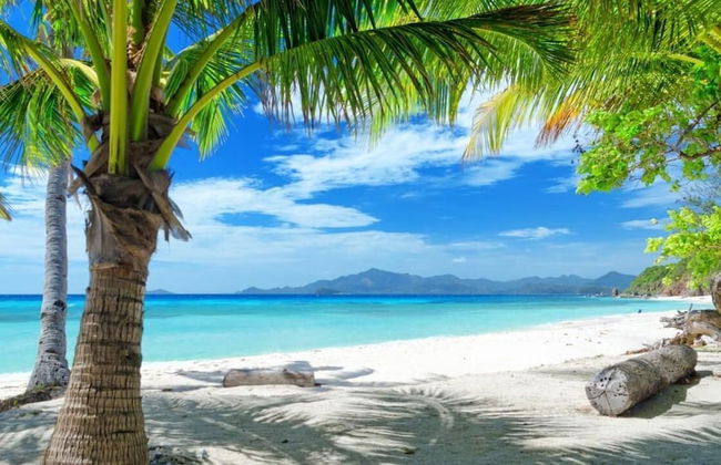 Island Cove - Foto 21