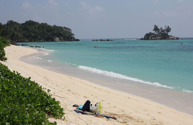 Island Cove - Foto 22