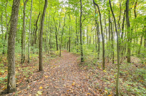 Photo 39 - Riverwood: South Haven Retreat on 10 Acres