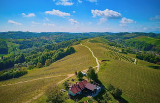 Photo 1 - Wellness Vineyard Cottage Marjan