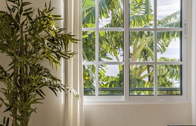 Sunny House by Madeira Sun Travel - Foto 9