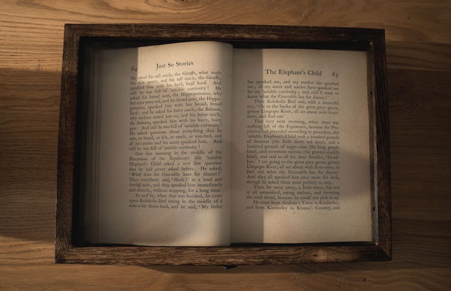 Kolokolo Safari Home – Mashatu Game Reserve - Photo 25