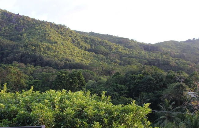 Stephna Residence - Foto 63