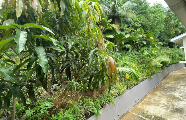 Stephna Residence - Foto 65