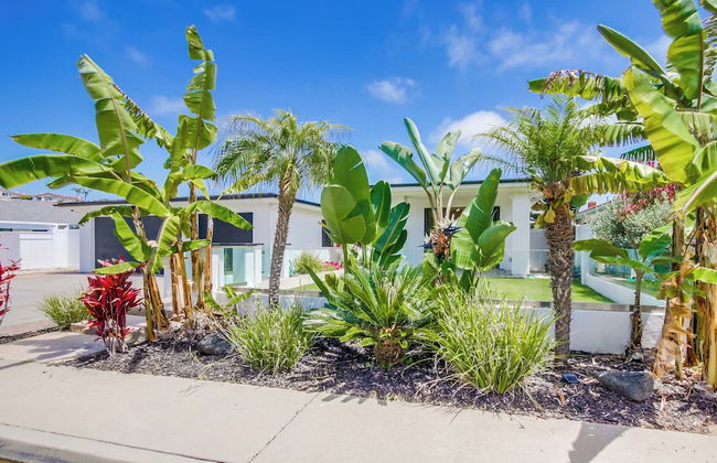 La Jolla Oasis - Photo 50
