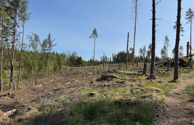 6 Person Holiday Home in Vreta Kloster - Photo 14