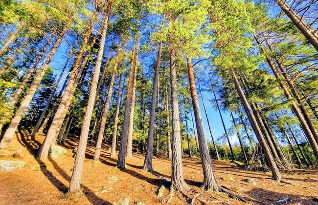 6 Person Holiday Home in Vreta Kloster - Photo 13