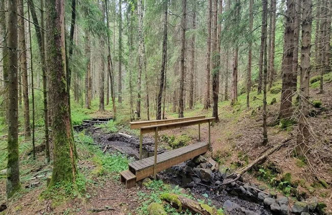 6 Person Holiday Home in Vreta Kloster - Photo 15